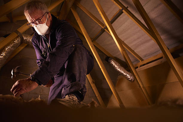 Best Geographic-Specific Insulation Services in Oak Grove, OR